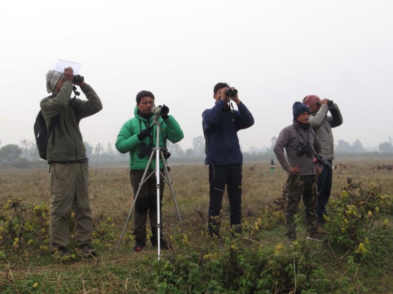 Ways To Watch Birds In Chitwan