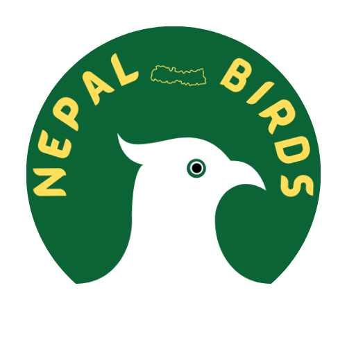 nepalbirds